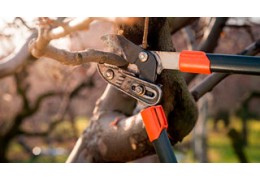 Guía completa de tijeras de poda: Tipos y cómo elegir la mejor para tu jardín