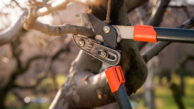 Guía completa de tijeras de poda: Tipos y cómo elegir la mejor para tu jardín